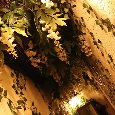 Loveroom, La Tour Secrete Jacuzzi, Sauna, Plage, Clim, Netflix, Wifi Aude, Occitanie Vinassan